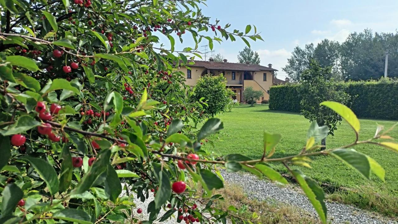 Il Chiassetto Agriturismo No Kids Cascina Exterior foto