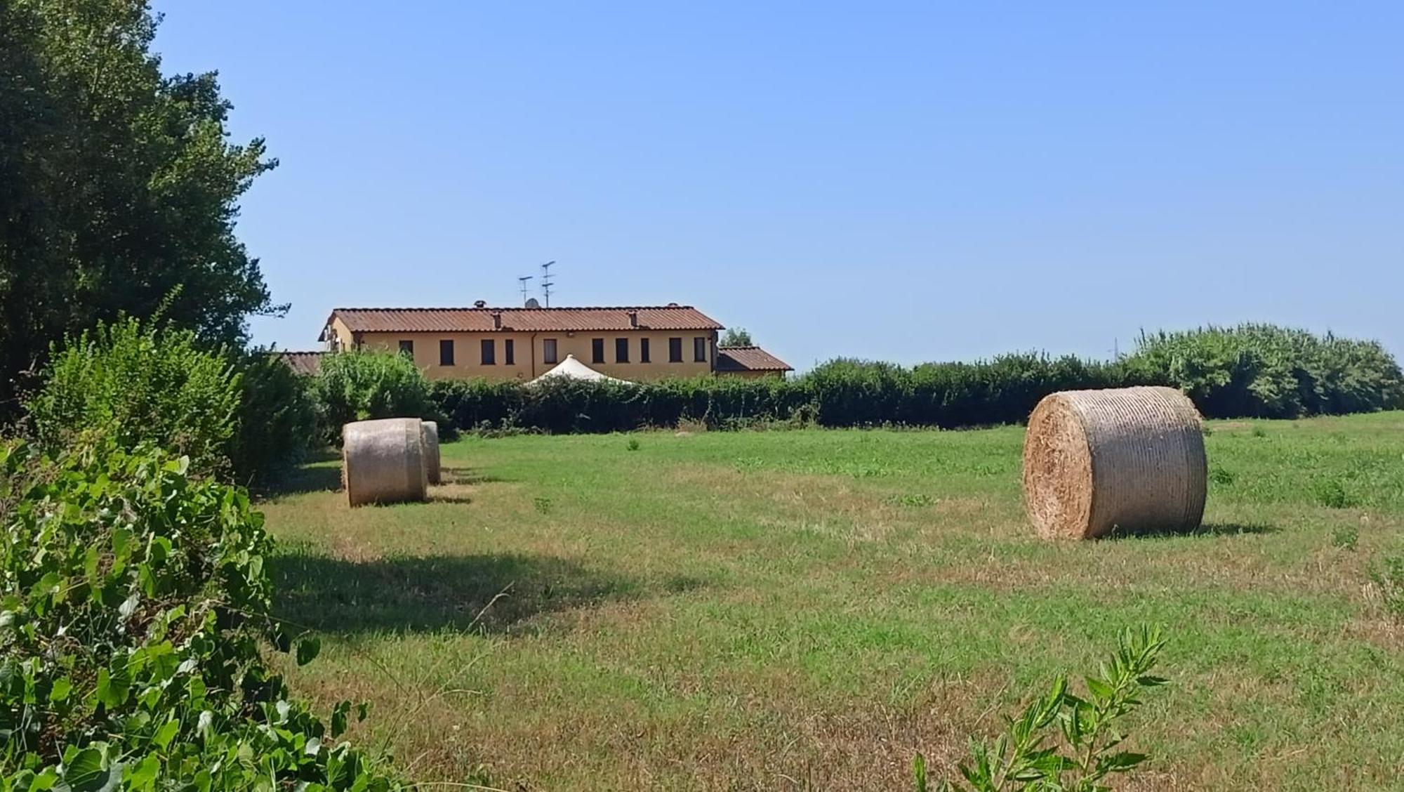 Il Chiassetto Agriturismo No Kids Vila Cascina Exterior foto