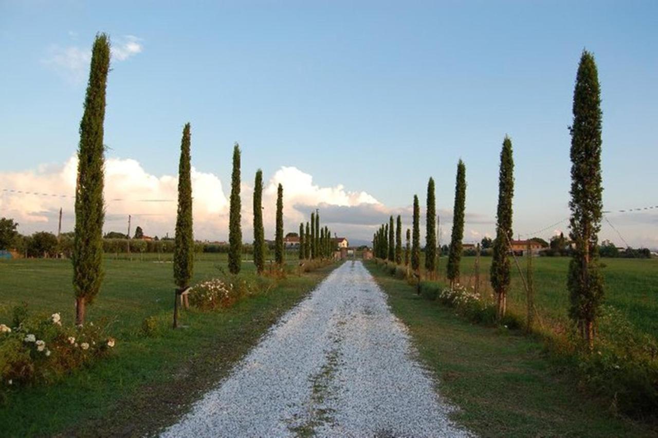 Il Chiassetto Agriturismo No Kids Vila Cascina Exterior foto